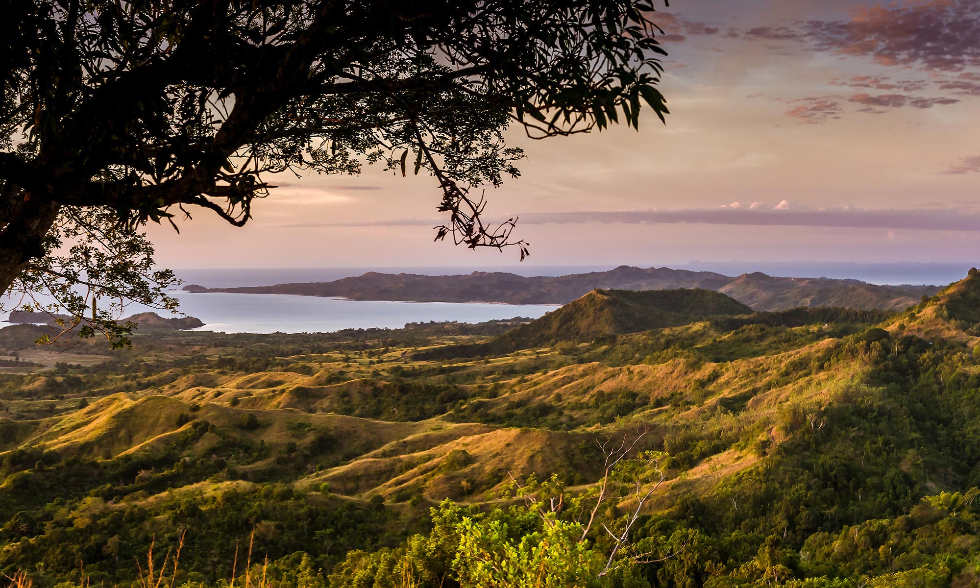 Le 4 épices Malgache  le soleil de madagascar