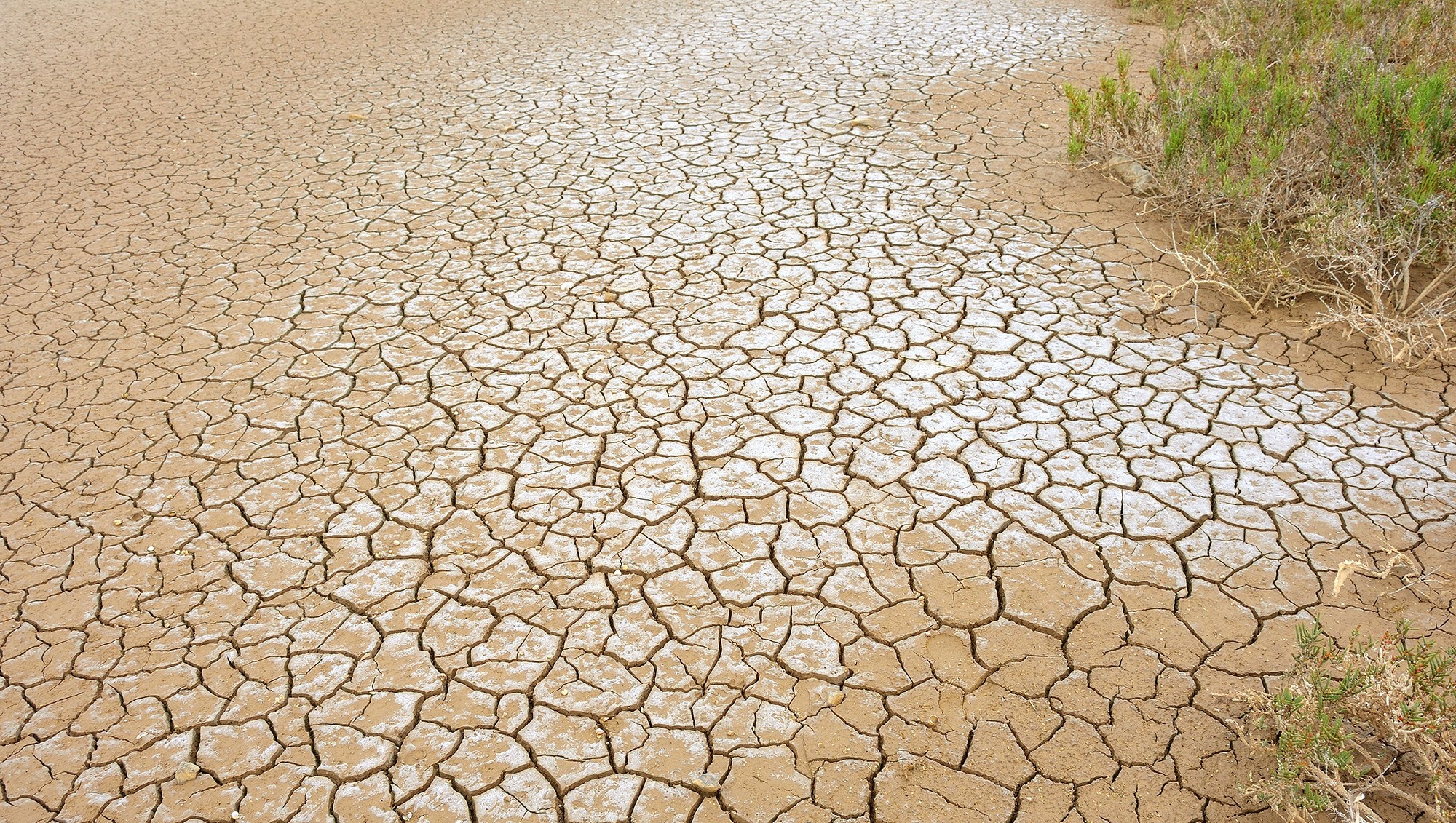 Canicule Méditerranée