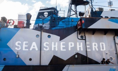 Sea Shepherd