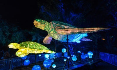 Festival De Lumière