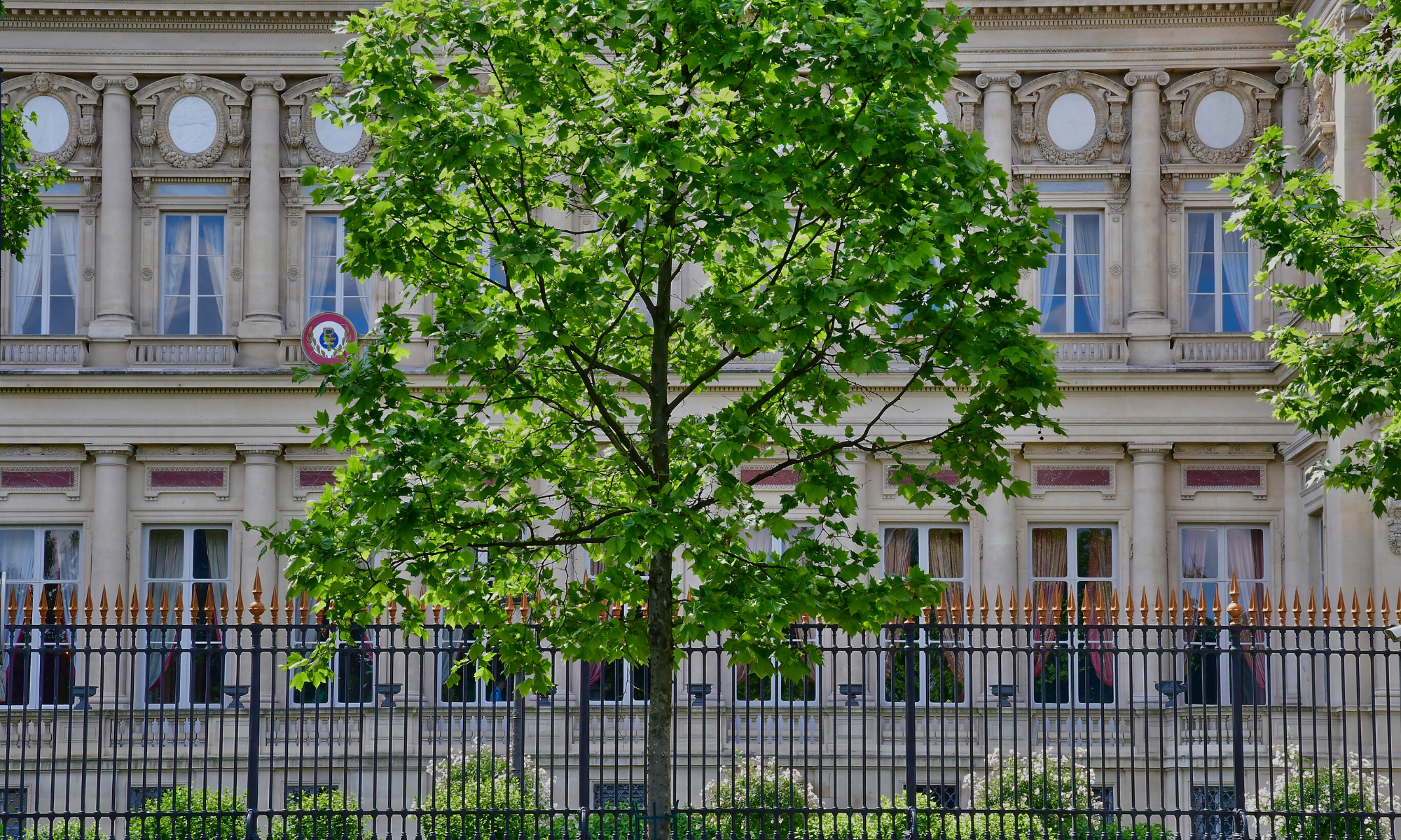 Hélène Dantoine, aux manettes de la diplomatie économique française