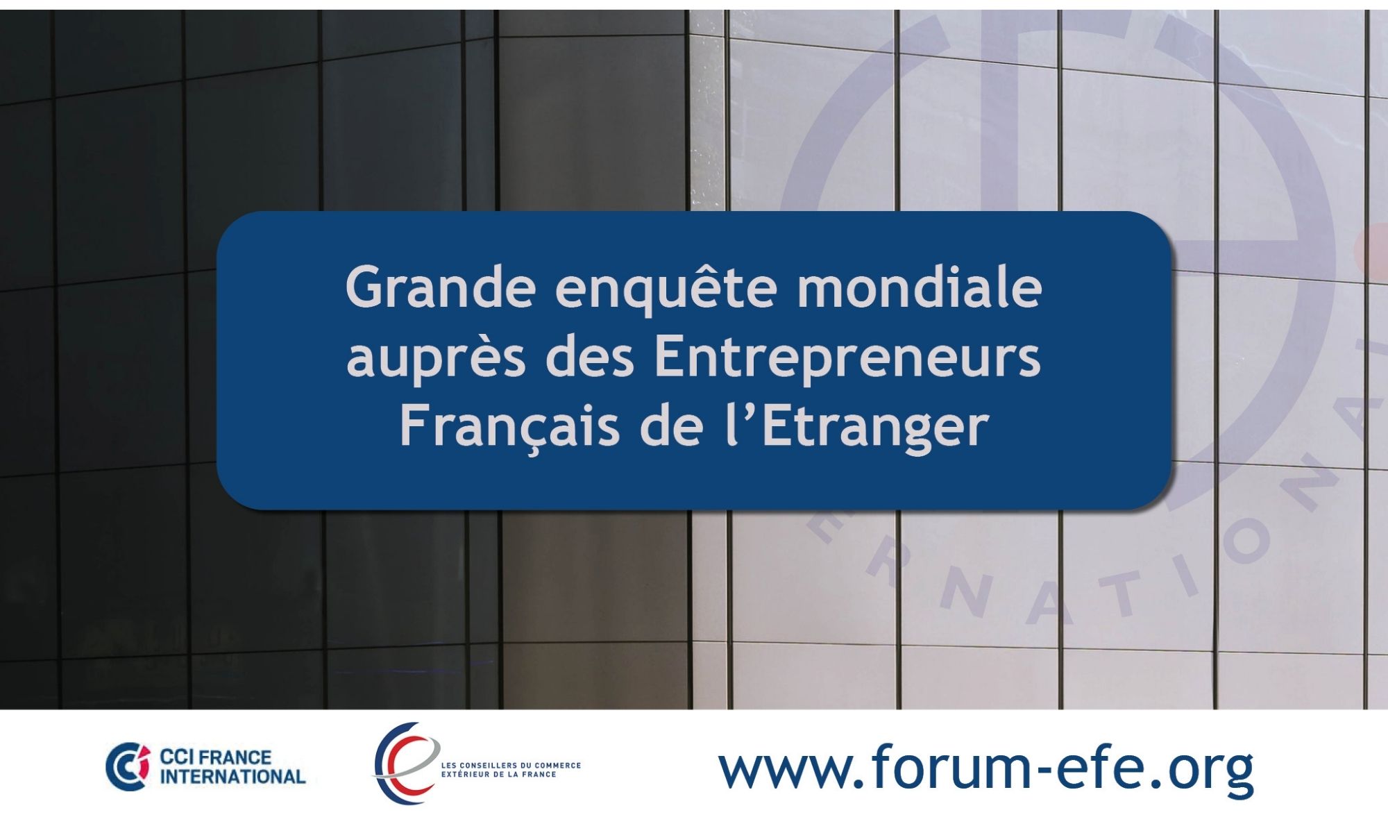 Une grande enquête pour mieux connaître les entrepreneurs français de l'étranger