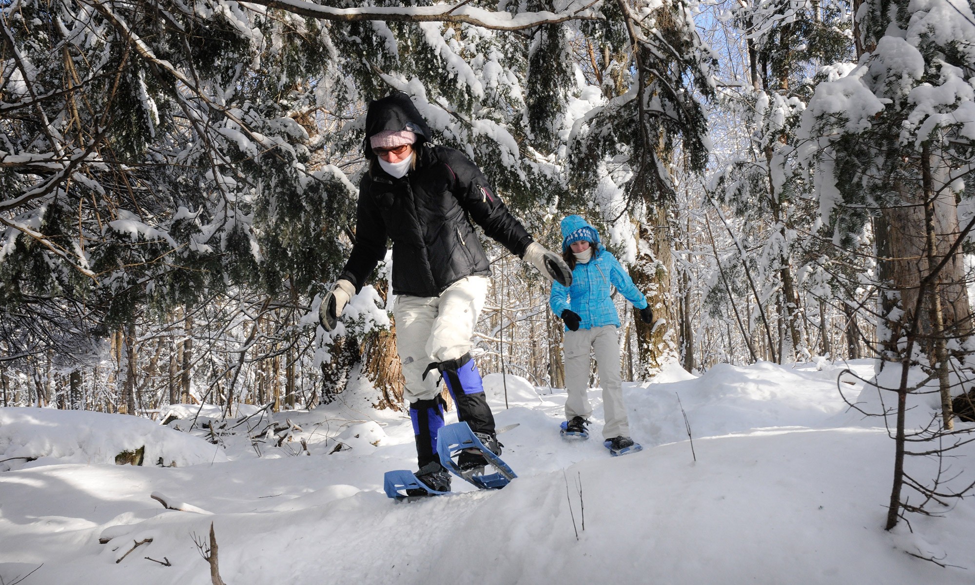 À proximité de la ville, vous pourrez pratiquer le ski alpin et aurez accès à maintes autres activités selon les saisons, telles que le vélo de montagne ou la descente de glissades d'eau. 