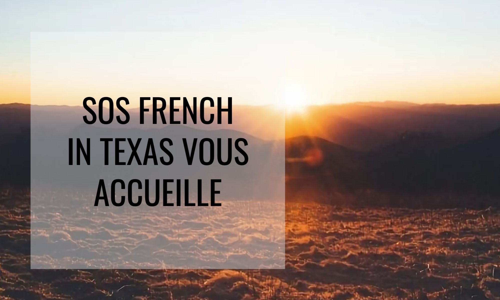 Vivre ailleurs, sur RFI : “Focus sur l'association SOS French in Texas“