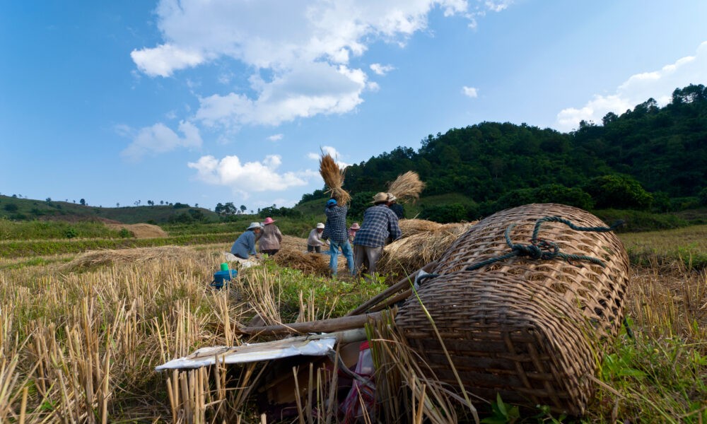 Job en Asean : Thaïlande