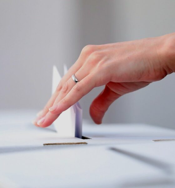 legislatives partielles