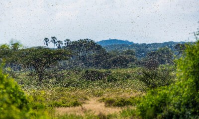 Sécurité dans le monde : gros plan sur les zones de vigilance du 22 au 27 septembre 2021