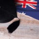 Réouverture des frontières australiennes aux étudiants internationaux