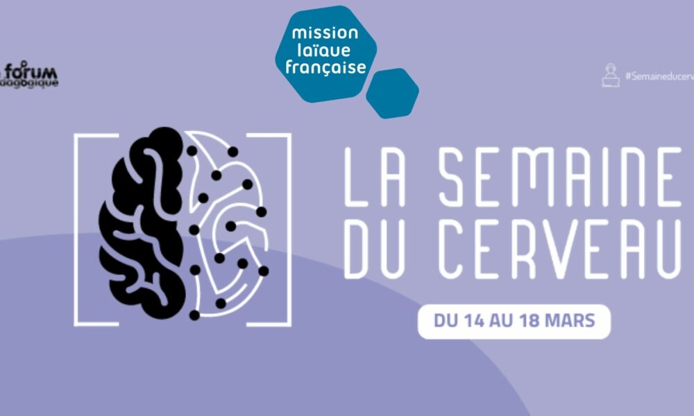 “La semaine du cerveau“ sur le Forum pédagogique de la Mission laïque française