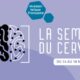 “La semaine du cerveau“ sur le Forum pédagogique de la Mission laïque française