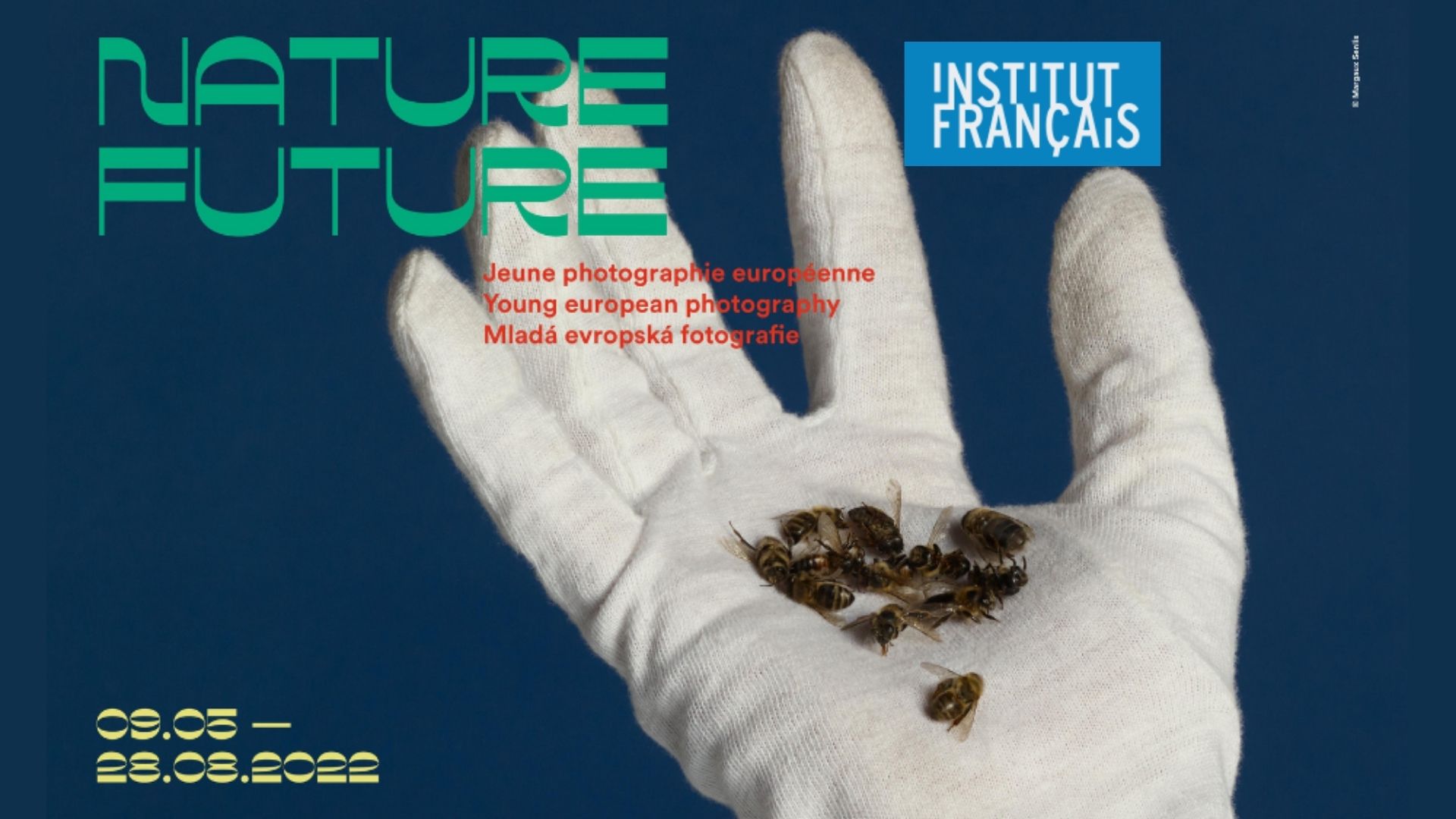 “NATURE FUTURE“ : une exposition de jeunes photographes européens sur le thème de l’écologie