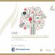 CCI France internationale : “Les rendez-vous d’Abu Dhabi 2022“