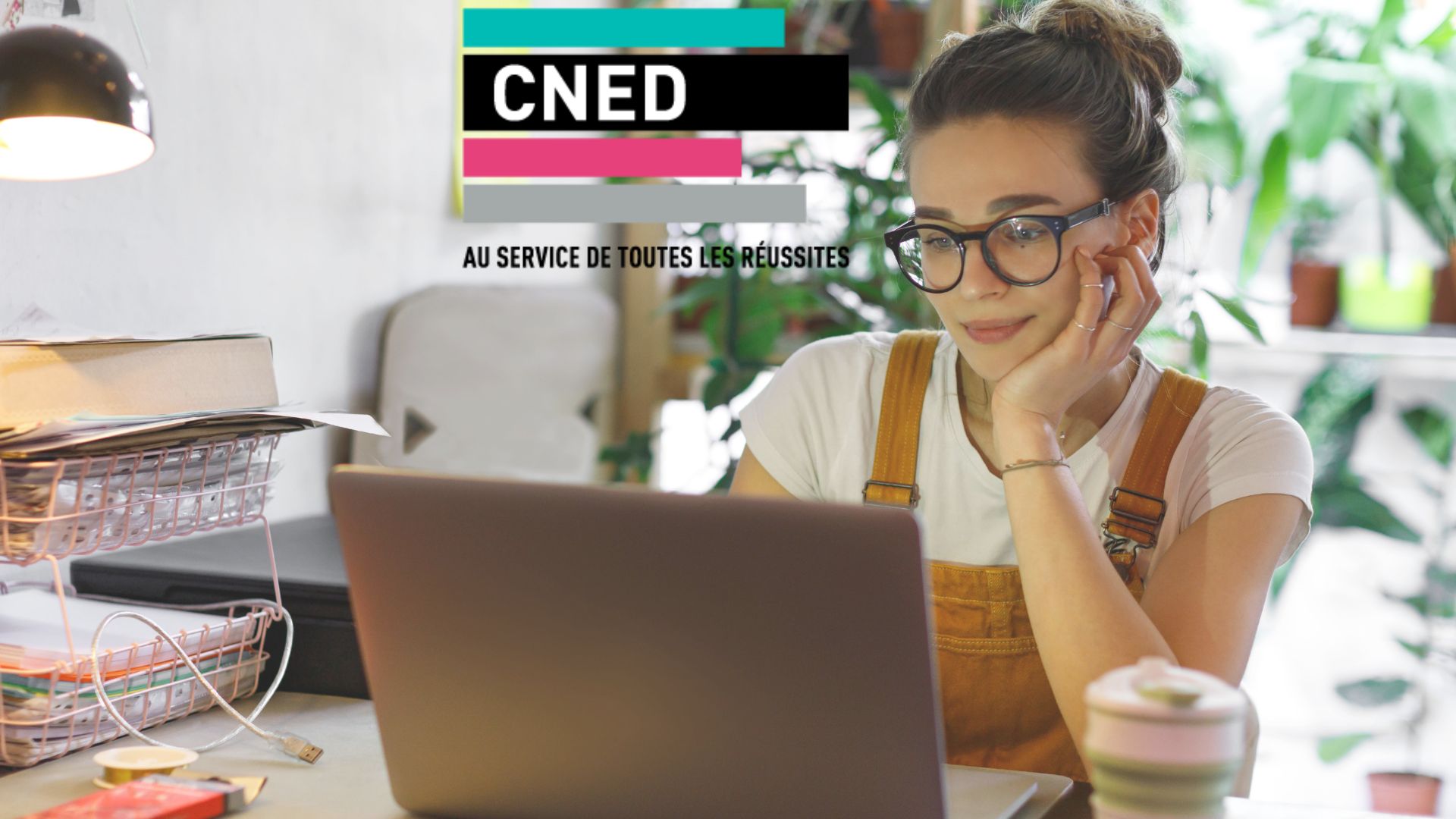 Les cursus universitaires du CNED