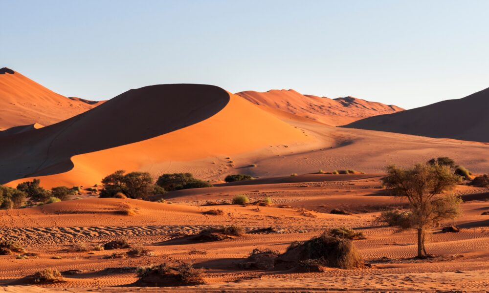 Le tour du monde avec son ordi : la Namibie
