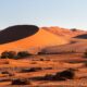 Le tour du monde avec son ordi : la Namibie