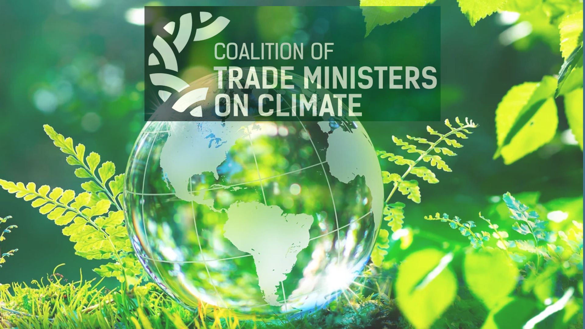 Les ministres du Commerce d’une cinquantaine de pays lancent une coalition pour le climat
