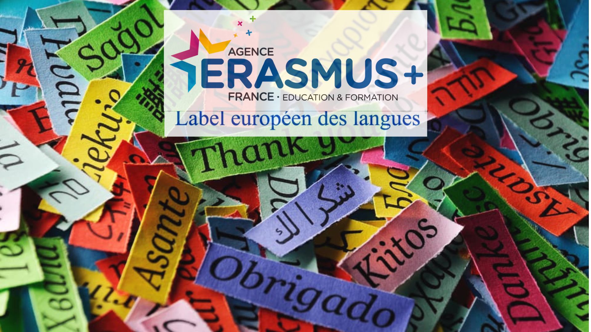 Le Concours du label européen des langues 2023 avec Erasmus+