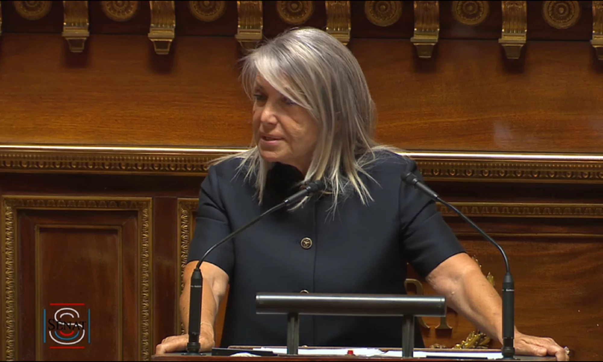 Evelyne Renaud-Garabedian lors de l'examen de la proposition de loi en séance publique au Sénat.