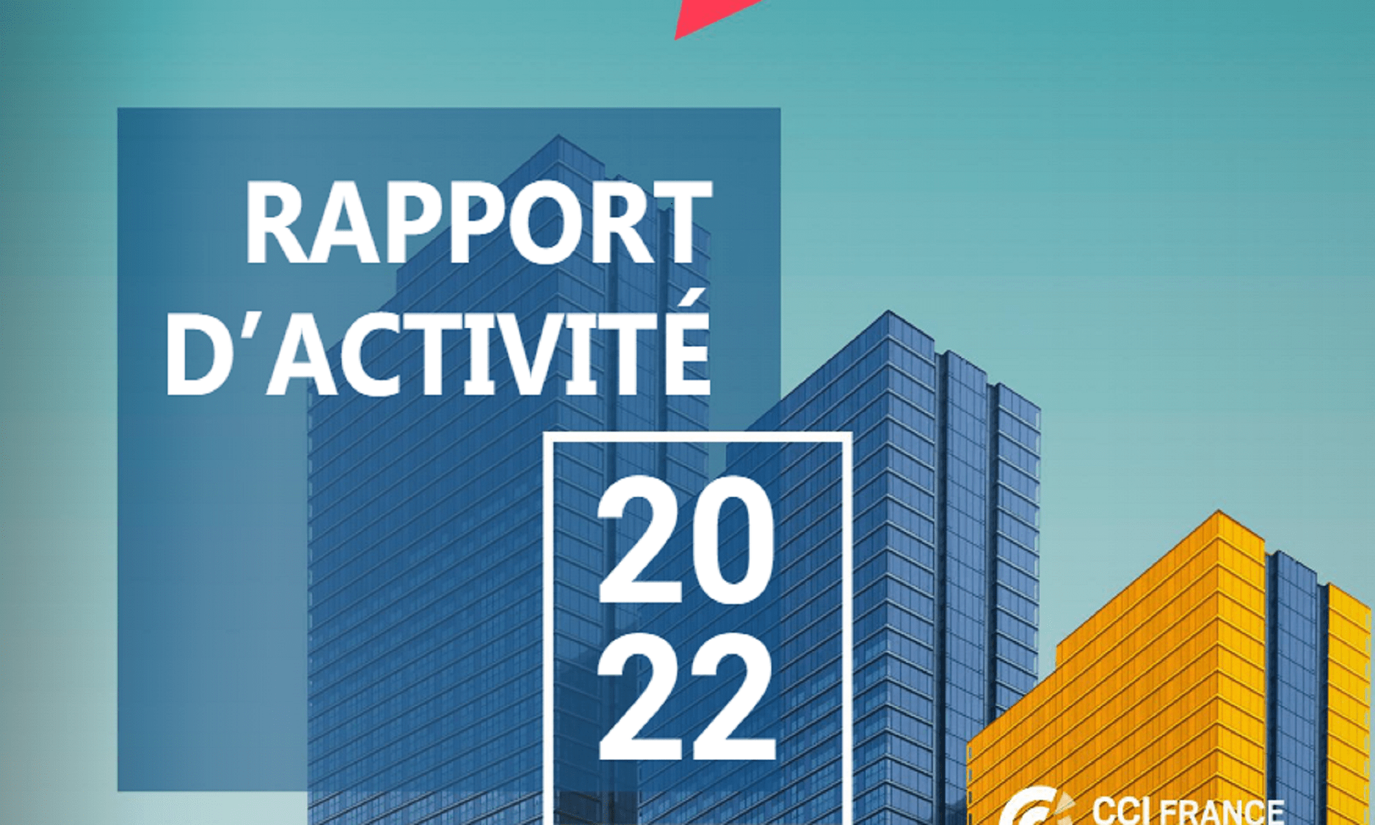 Rapport activité 2022 CCI France international