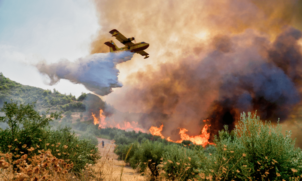 Voyage annulé à cause des incendies : quels sont mes droits ?