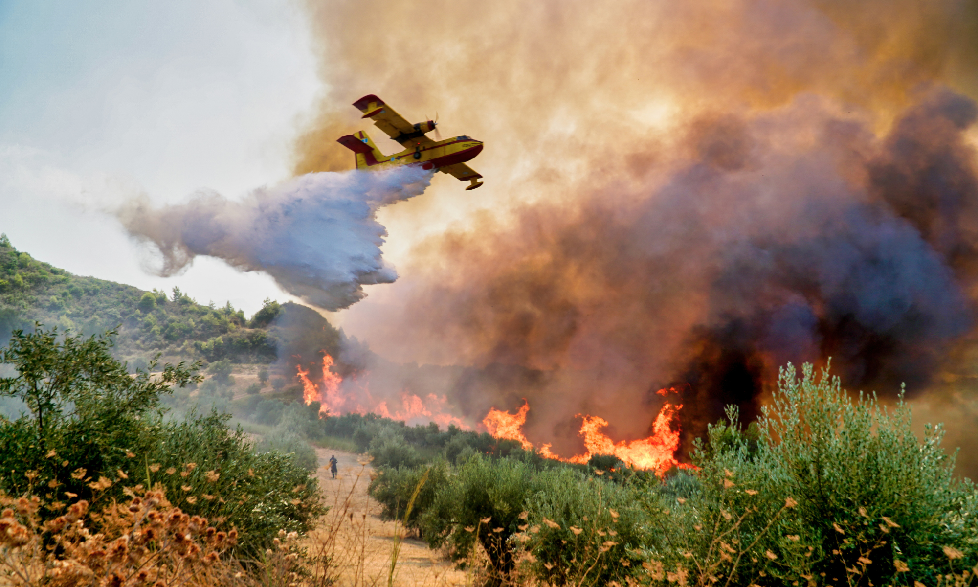 Voyage annulé à cause des incendies : quels sont mes droits ?