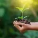 Expatriation et préservation de l’environnement : est-ce compatible ?
