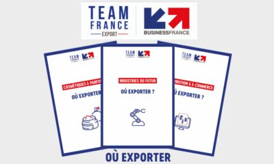 Les guides de la Team France export : des documents complets sur les marchés étrangers