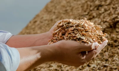 Une business expedition en Pologne qui a pour thème la biomasse
