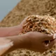 Une business expedition en Pologne qui a pour thème la biomasse