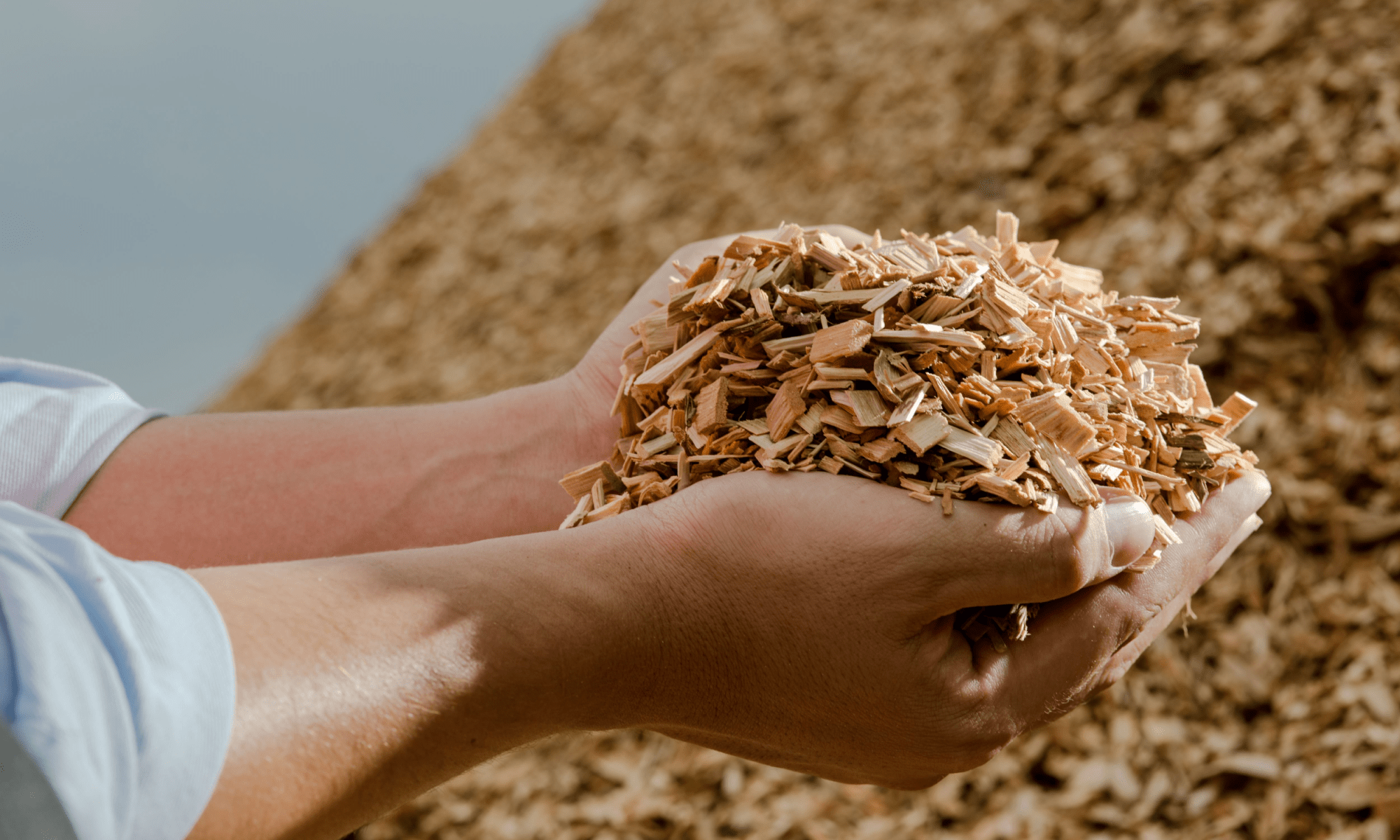 Une business expedition en Pologne qui a pour thème la biomasse