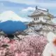 Le Japon, la quatrième destination la plus populaire du PVT