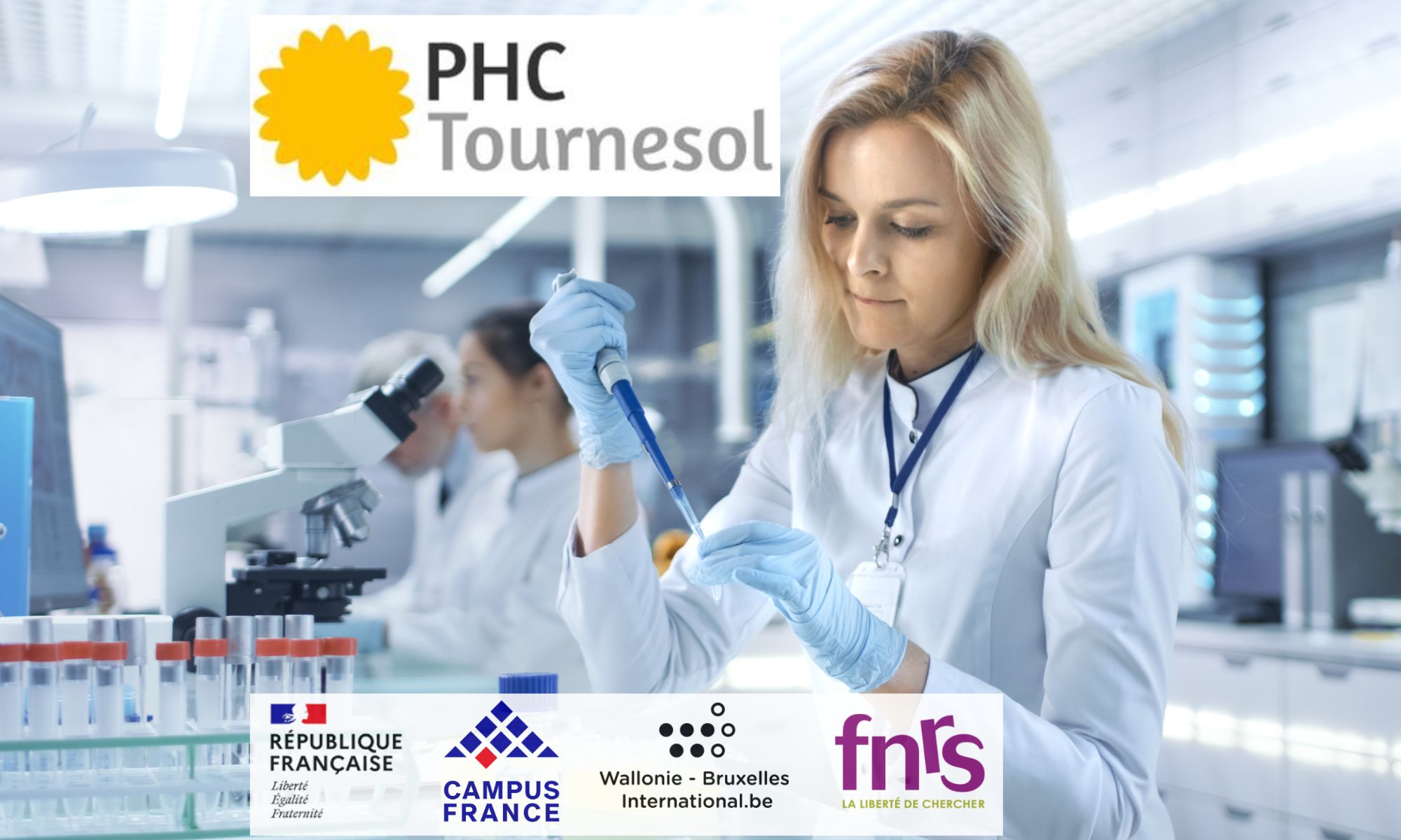 « PHC Tournesol 2025 » : un programme franco-belge d'aide à la mobilité scientifique