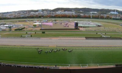 FranceInfo, Français du monde : « Le jockey qui s'est fait un nom au Japon »