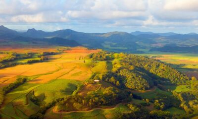 FranceInfo, Français du monde. « Île Maurice : des déchets de canne à sucre transformés en énergie »