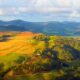 FranceInfo, Français du monde. « Île Maurice : des déchets de canne à sucre transformés en énergie »