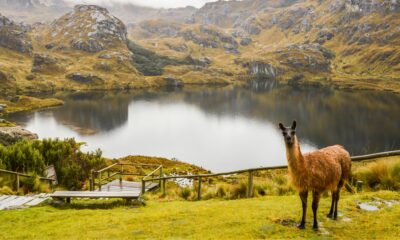 Le PVT Equateur, l’aventure dans un petit pays plein de merveilles !