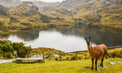 Le PVT Equateur, l’aventure dans un petit pays plein de merveilles !
