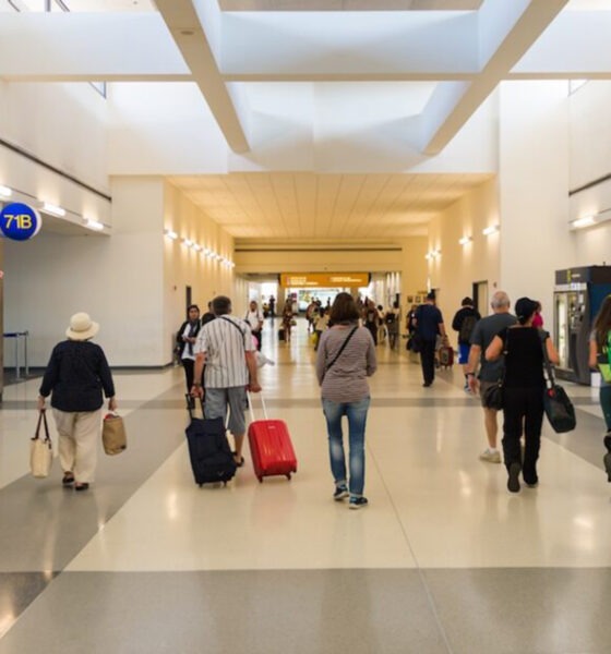 Divan d’ailleurs : Les véritables raisons de l’expatriation