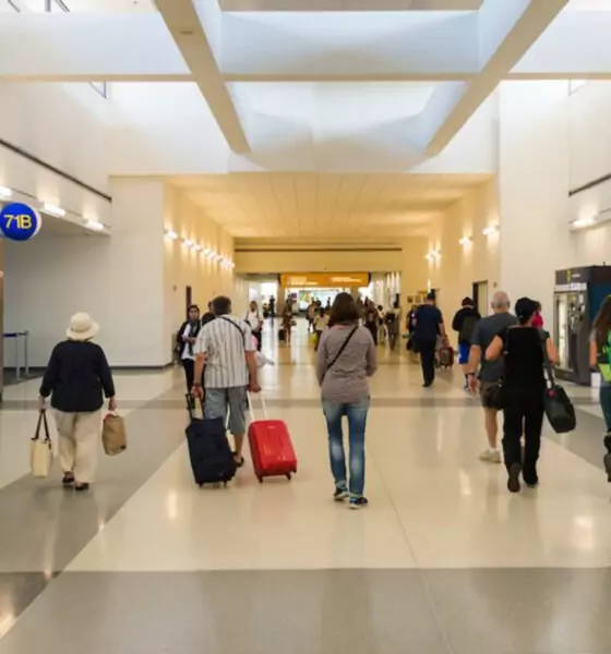 Divan d’ailleurs : Les véritables raisons de l’expatriation