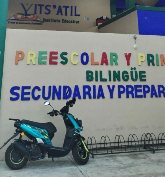 Scolarité en école internationale : “Mon fils est le seul français dans son établissement”