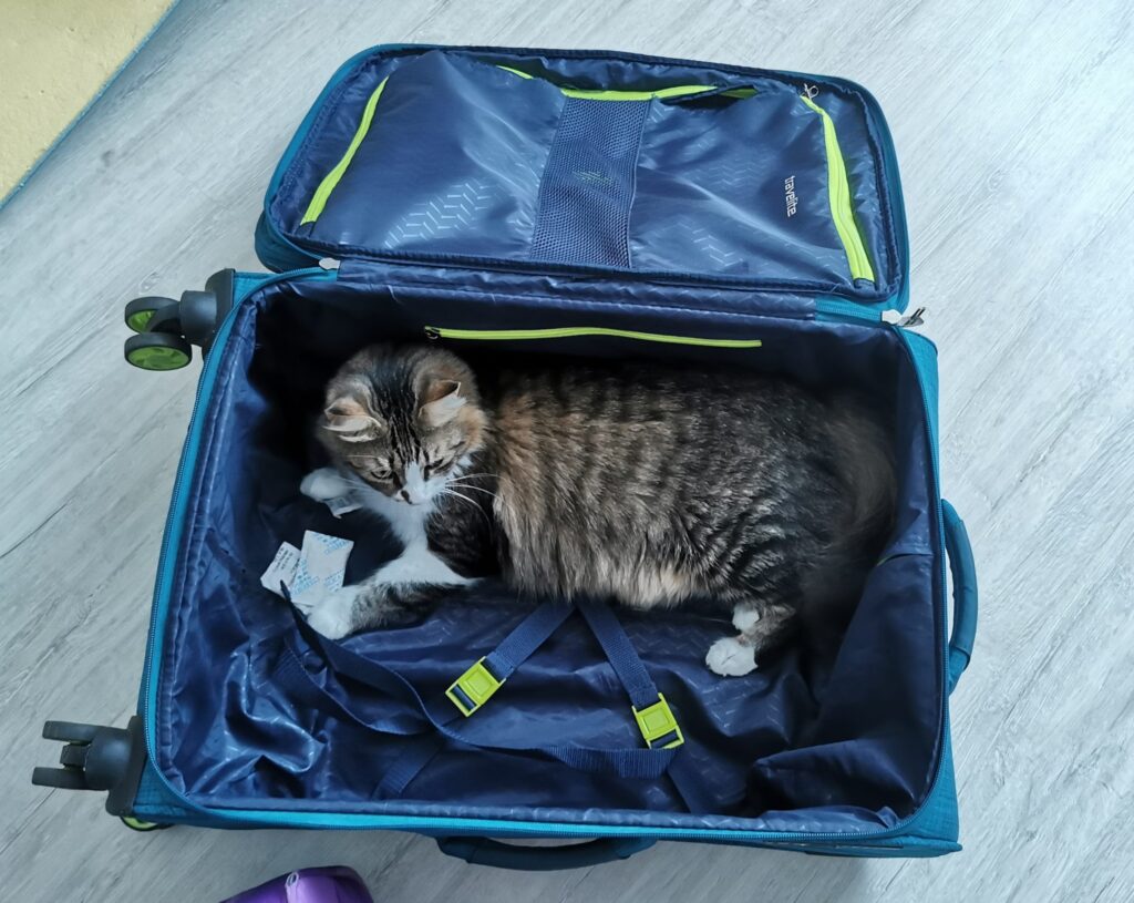 Mariia Kolosova est arrivée d’Ukraine seule avec son chat. En deux ans, elle a trouvé une nouvelle famille, s’est construit un nouveau foyer.