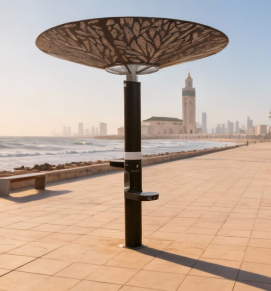 Les champions français du « green business » au Maroc