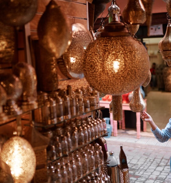 Une communauté française plurielle et en mutation
