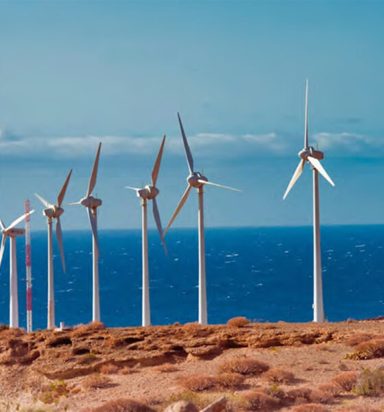 Travailler au Maroc : les secteurs qui recrutent