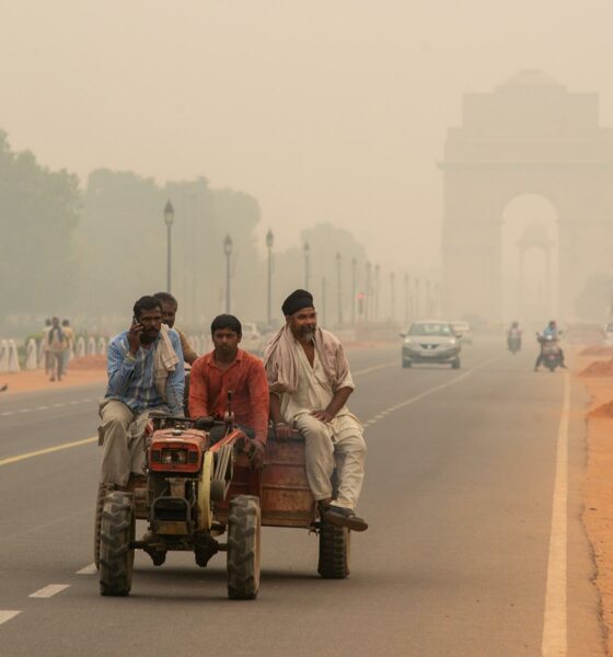 Vivre en Inde : un choc des cultures