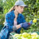 Permis Vacances-Travail : bien se préparer sans rêver d'eldorado