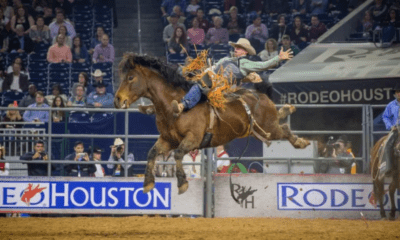 Yvan Jayne, le cow-boy français qui a conquis les rodéos du Texas