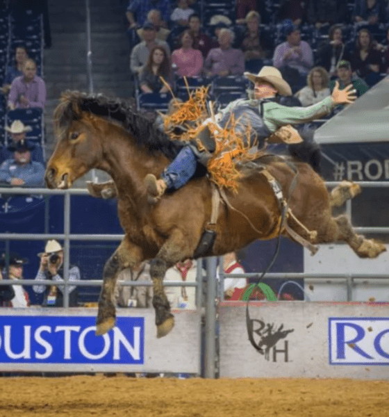 Yvan Jayne, le cow-boy français qui a conquis les rodéos du Texas